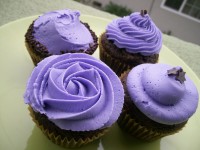 Purpura CupCake